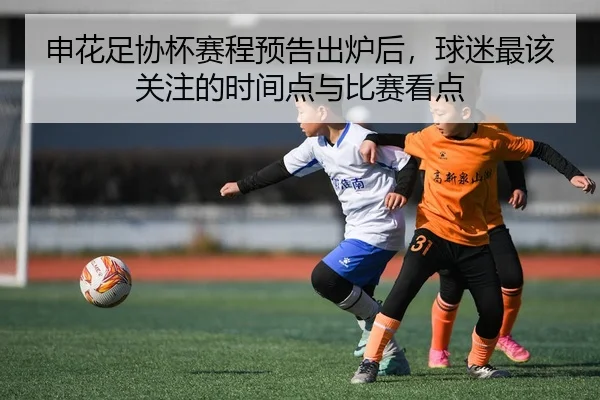 img_1780712191922_58_2_570.jpg